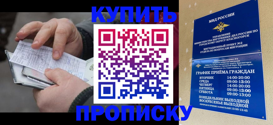 временная регистрация недорого в Гатчине